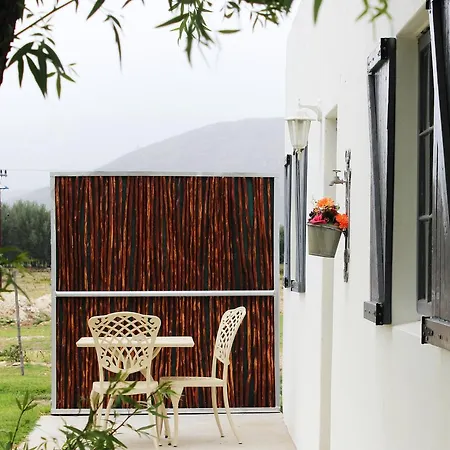 Shanzeley Guest House George Exterior photo